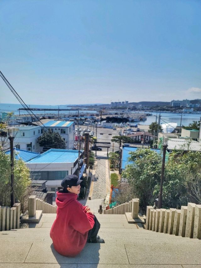 동백꽃필무렵 그 계단 포토존이 여기🌺