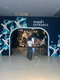 ย้อนเวลาไปเที่ยวบางแสน🐬🐟🐠