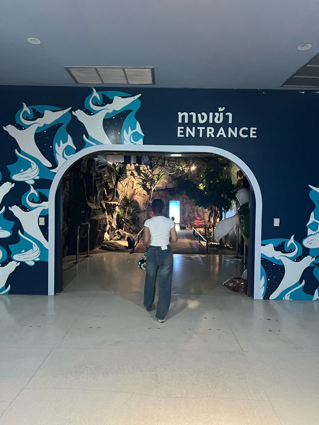 ย้อนเวลาไปเที่ยวบางแสน🐬🐟🐠