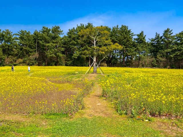 Hangpaduri Hangmong Historic Site