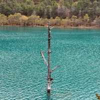 Blue Moon Valley: A Serene Escape in Yunnan's Majestic Landscape