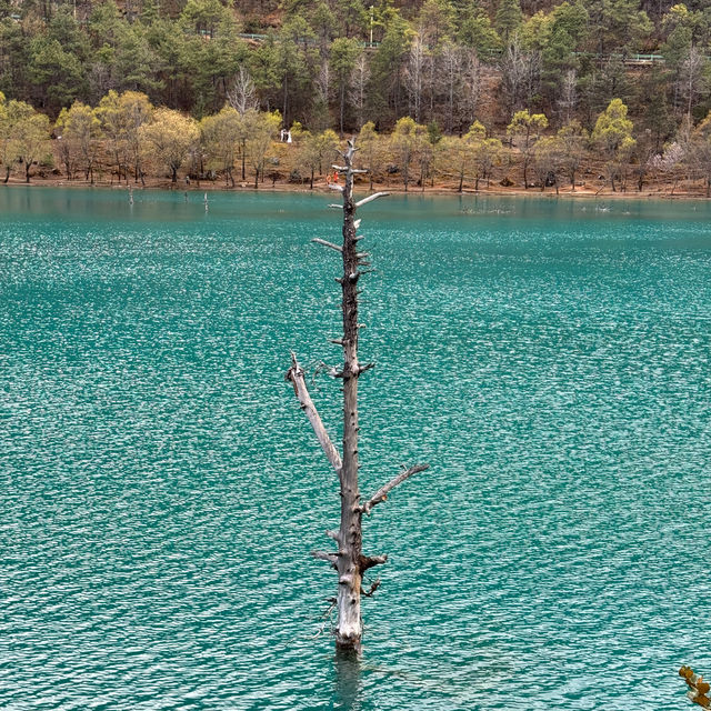 Blue Moon Valley: A Serene Escape in Yunnan's Majestic Landscape