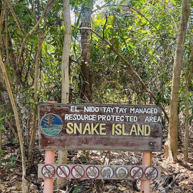 Discovering the Wild Beauty of Snake Island 🏝️ 