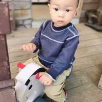 苗栗銅鑼 莫內的秘密花園 童趣鄉村
