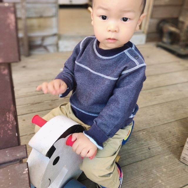 苗栗銅鑼 莫內的秘密花園 童趣鄉村