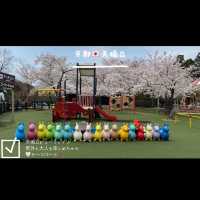 京都🇯🇵天橋立✨ビューランド🎡テーマパーク