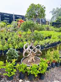 Why Choose AGRO Nursery?
