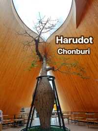 แวะคาเฟ่ดังในชลบุรี Harudot Chonburi 