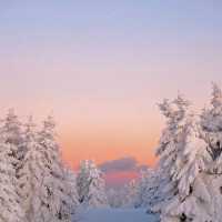 大雪山國家公園：山友朝聖