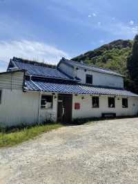 【福岡グルメ】さっぱり爽やかスムージー屋さん