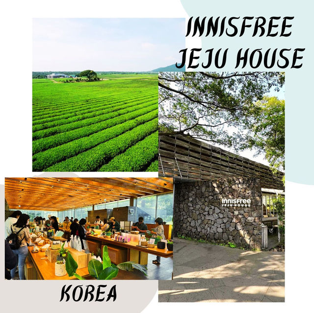 Natural Oasis: Innisfree Jeju House