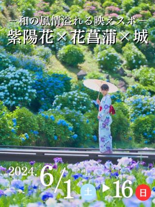 【神奈川】這個合作在全國也很珍貴，現在才能看到的免費人氣景點※附拍攝重點