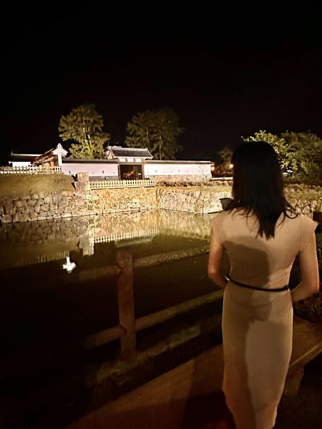 〜神奈川県〜あじさいライトアップ絶景すぎる小田原城 2024/6/1〜6/16まで！ 小