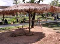 Viva Foresta Farm