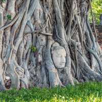 ที่พักวิวมรดกโลกแบบสุดจึ้ง