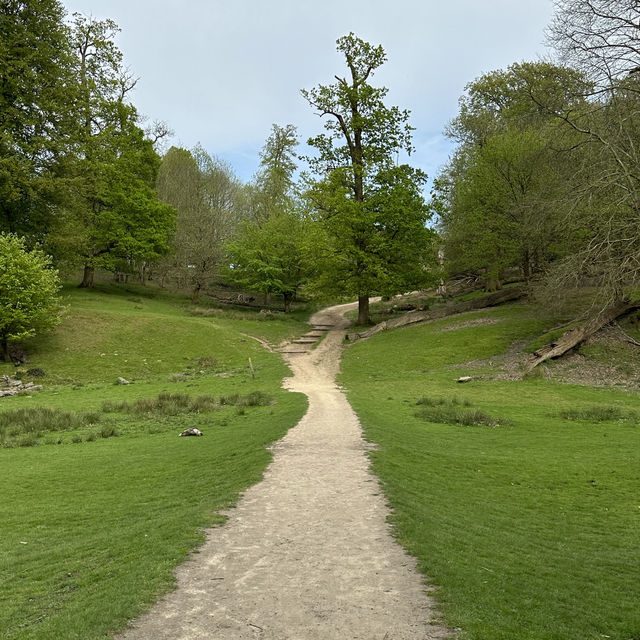 Historic deer park