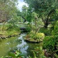 ร้านอาหารอร่อย บรรยากาศดี ชมนก คาเฟ่ นครนายก