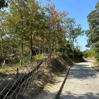Tai Tong nature trail