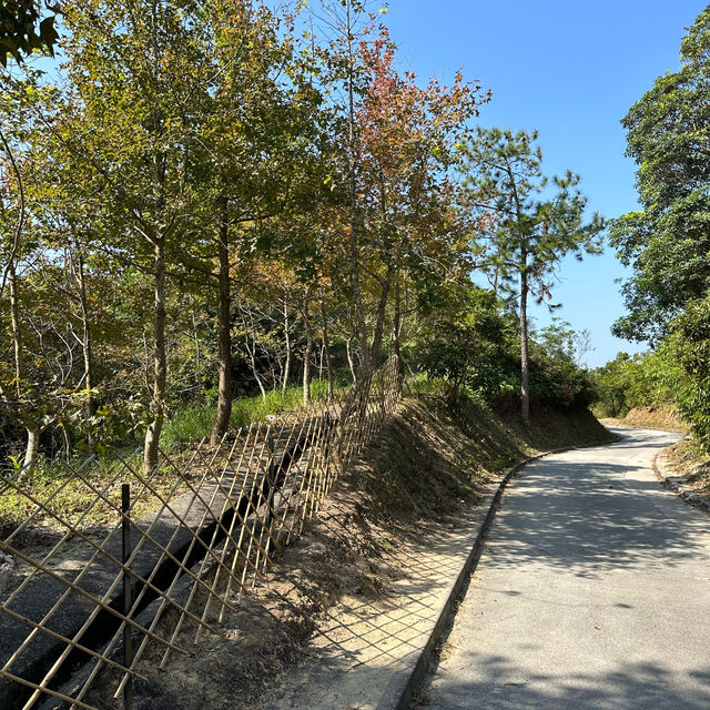Tai Tong nature trail Tai Tong nature trail