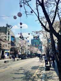 【首爾】梨花女子大學：優美寧靜的校園環境，新潮的周邊小店