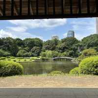 【新宿御苑】都会にある自然豊かなスポット