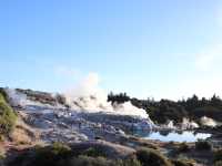 【NZ】ニュージーランド ロトルア旅