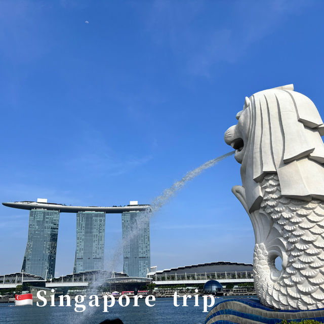 🇸🇬Singapore trip