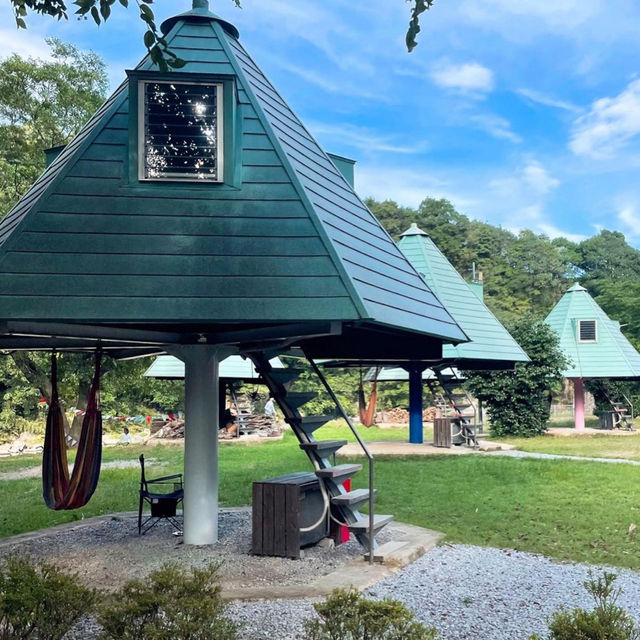 【大分】この景色、この空気、この牛！まさに一期一会✨