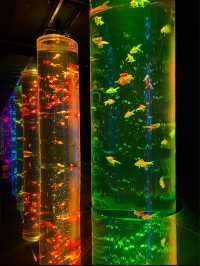 Mesmerising Art Aquarium Museum in Tokyo, Japan 🐠