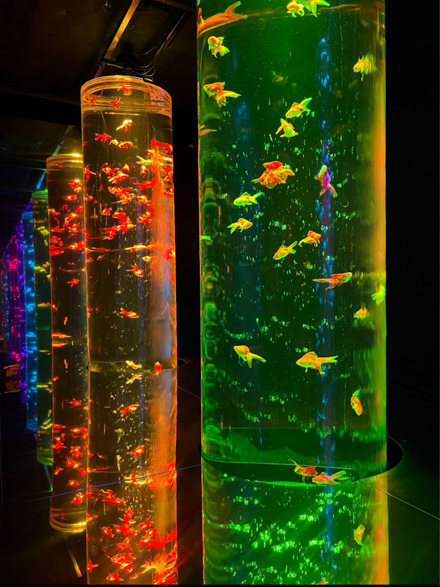 Mesmerising Art Aquarium Museum in Tokyo, Japan 🐠