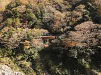 四國觀光列車 - 穿梭急流峽谷