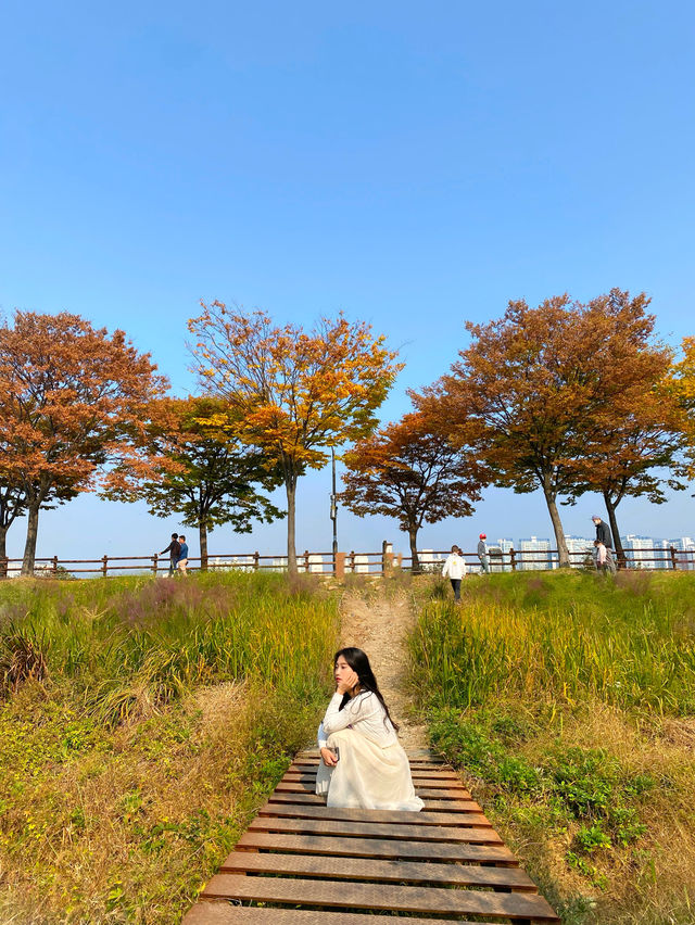 산책하기 좋은 미사경정공원🌳