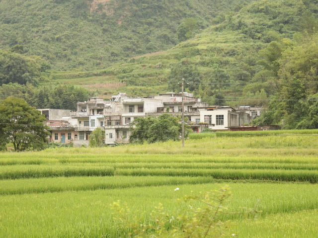 巴澤梯田 - 廣西的邊境梯田