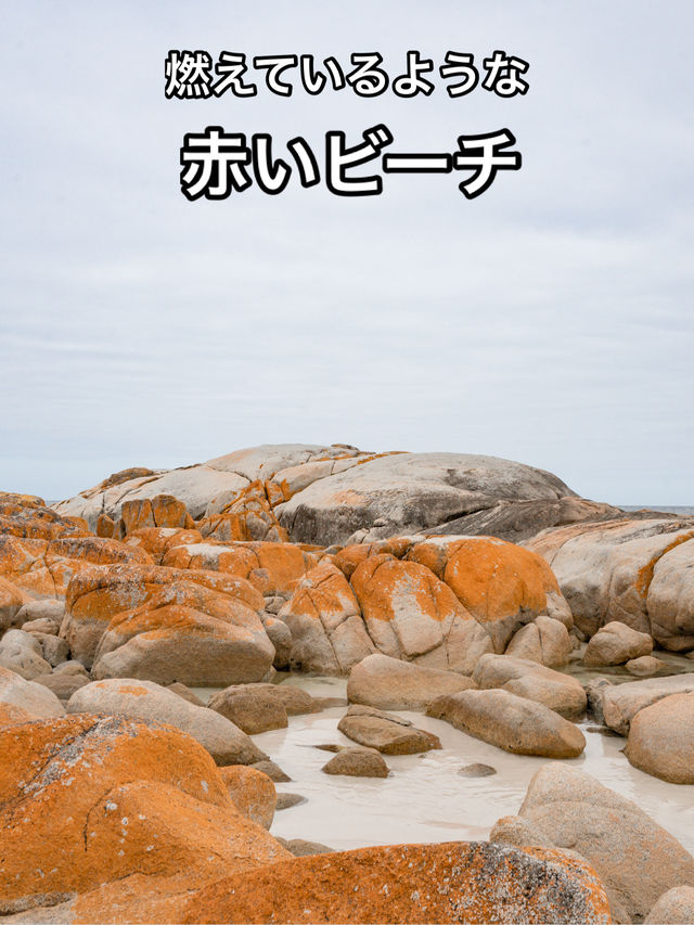 📍Bay of Fires