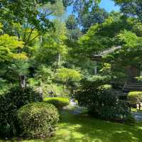 京都三千院 ⛩️🍵 寧靜緻雅的好去處 ✨