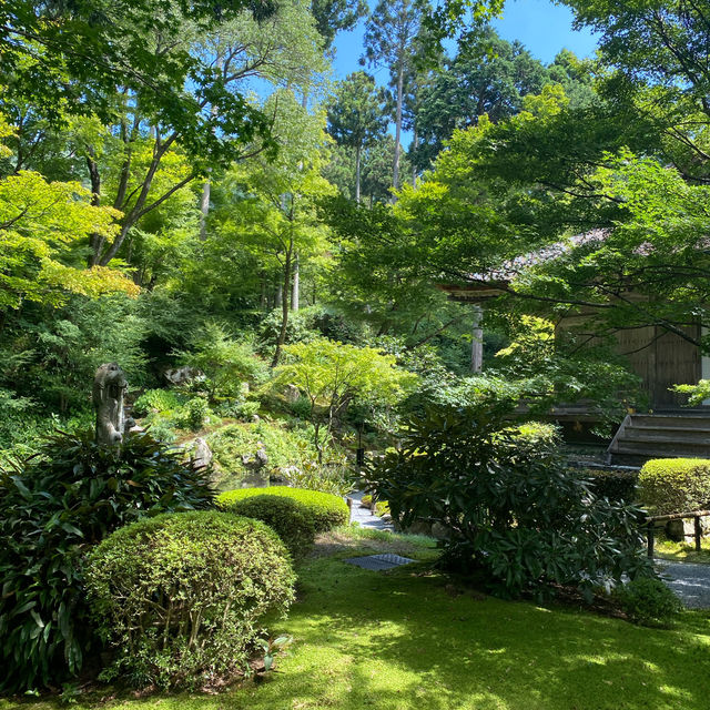 京都三千院 ⛩️🍵 寧靜緻雅的好去處 ✨
