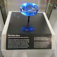 Exploring the Natural History Museum in London