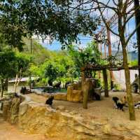 The Bentong Farm Malaysia