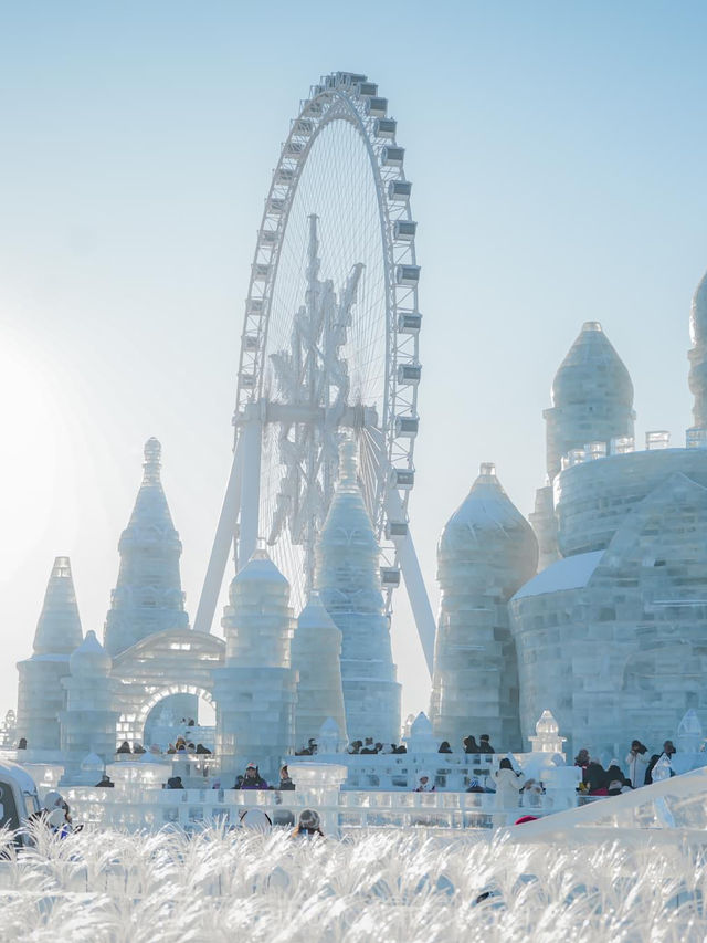แพลนเที่ยวตะลุยหิมะเที่ยวฮาร์บิน