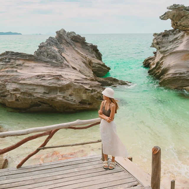 เกาะแมว สวรรค์ของเหล่าทาส! 🐈🏝