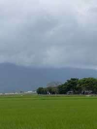 台東池上 大波池 🚩風景如畫