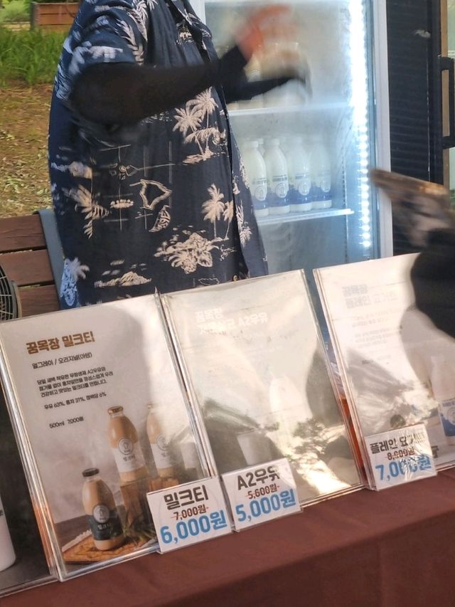 한옥마을 야시장