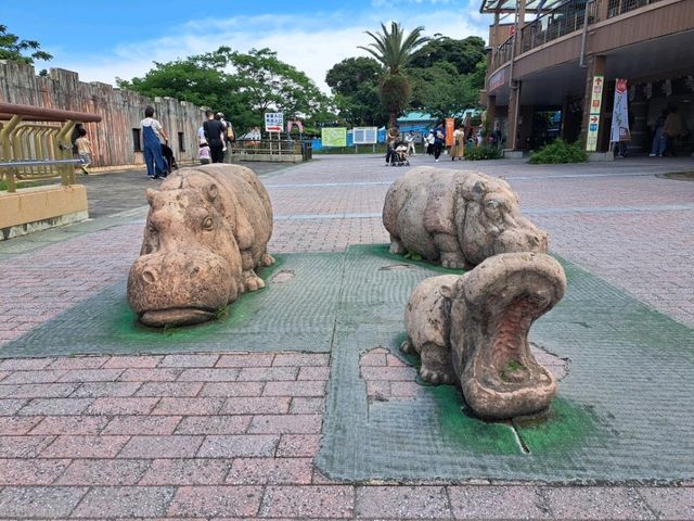 【鹿児島市平川動物公園】壮大な敷地で色んな動物を見に行こう🐨