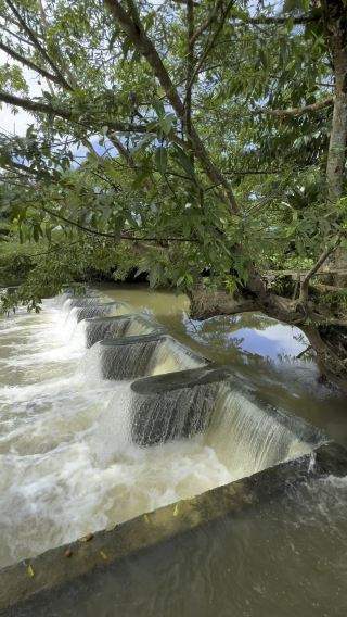 Hidden Oasis: Discovering Tranquility at the Local Waterfall