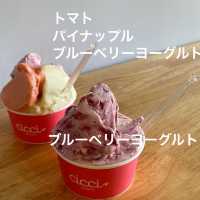 【福井/大野】若手パティシエが作る絶品ジェラート"CIcCI(チッチ)"