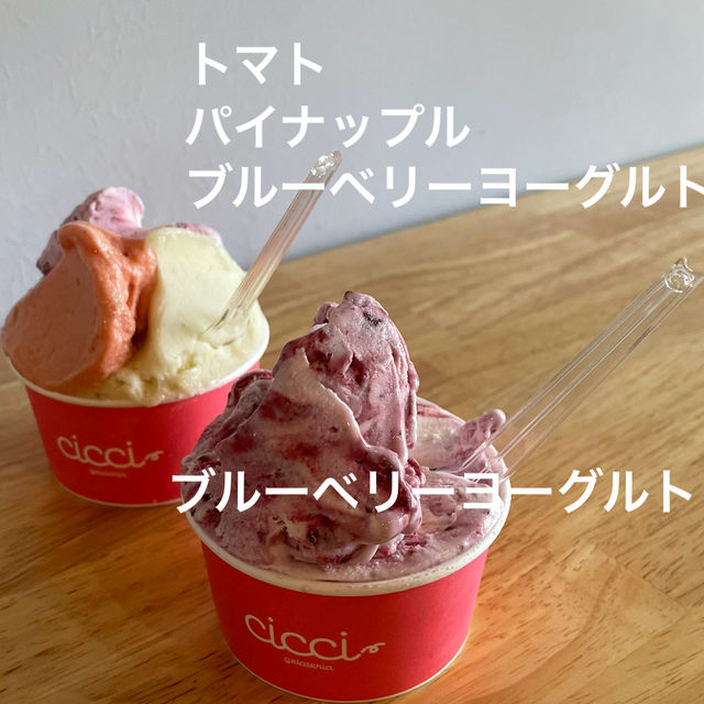 【福井/大野】若手パティシエが作る絶品ジェラート"CIcCI(チッチ)"
