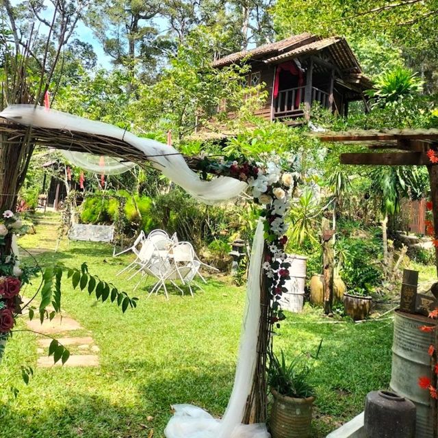 Nature Fruit Farm - Farmstay