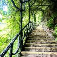 桃花源風景區：美麗樹林、壯觀瀑布，8月好去處