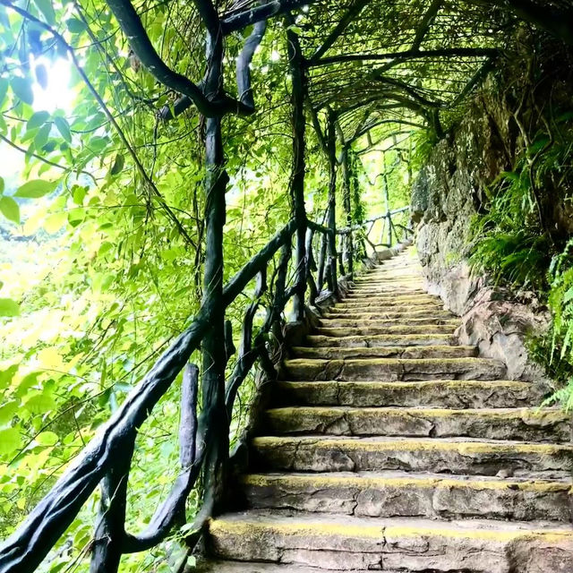 桃花源風景區：美麗樹林、壯觀瀑布，8月好去處