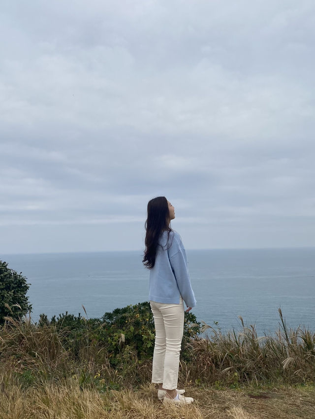 제주도의 해안도로를 전기바이크로 여행하기 🌳